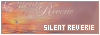 100x35 code