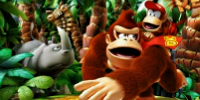Donkey Kong series